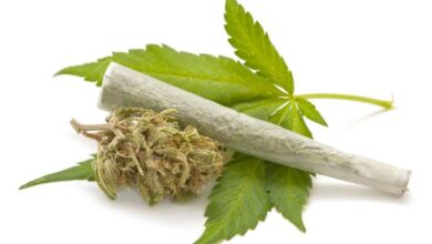 What Are The Best Treatment For Marijuana Addiction Treatment?